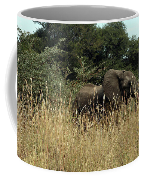 Karen Zuk Rosenblatt Art And Photography Coffee Mug featuring the photograph African Elephant in Tall Grass by Karen Zuk Rosenblatt