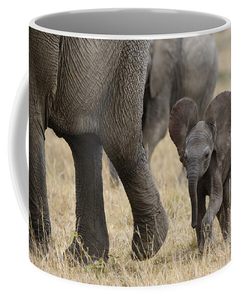00784043 Coffee Mug featuring the photograph African Elephant Mother And Under 3 by Suzi Eszterhas