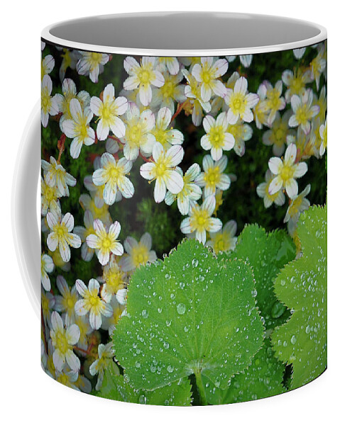 Flowers Coffee Mug featuring the photograph After A Spring Rain by Peggy Dietz