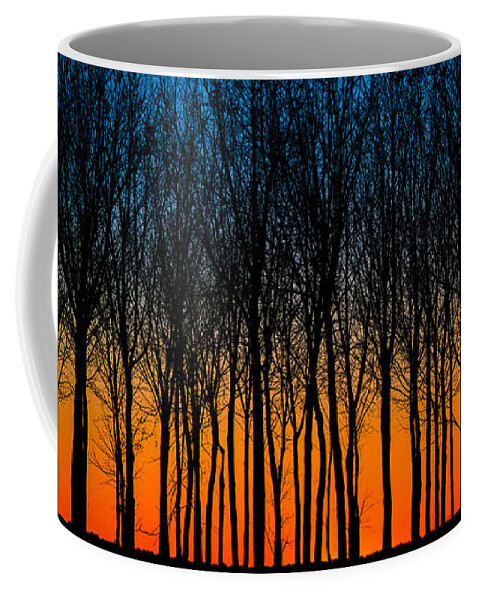 Archbold Coffee Mug featuring the photograph After Sunset In The Walnut Grove by Michael Arend