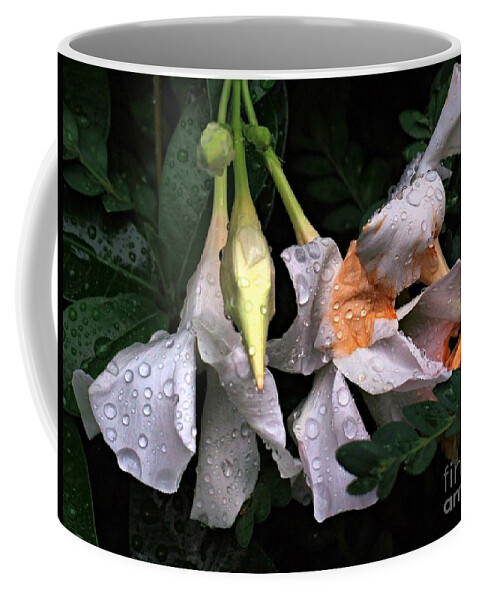 Flowers In Rain Coffee Mug featuring the photograph After the Rain - Flower Photography by Miriam Danar