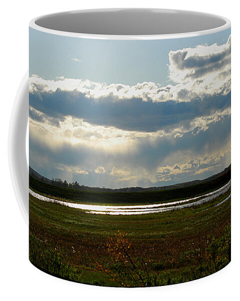 Storm Coffee Mug featuring the photograph After the storm by Nancy Landry