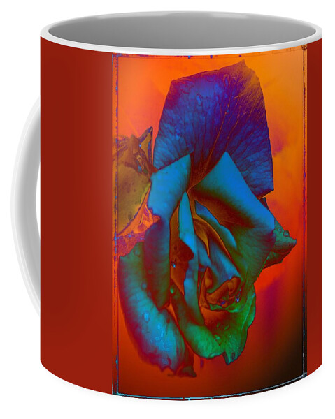 Colorful Coffee Mug featuring the photograph Afternoon English Rose by Thom Zehrfeld