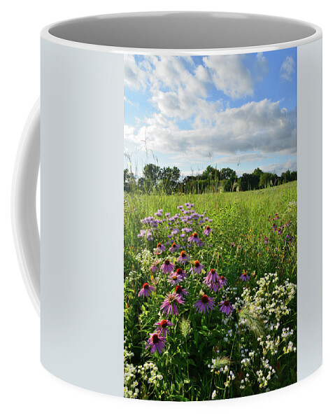 Black Eyed Susan Coffee Mug featuring the photograph Afternoon in Moraine Hills State Park by Ray Mathis