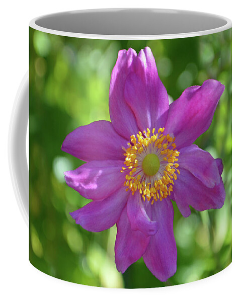 Japanese Anemone Coffee Mug featuring the photograph Afternoon Light by Terence Davis