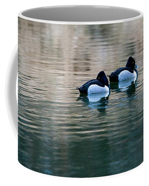 Wildlife Coffee Mug featuring the photograph Afternoon Repose by Jeff Phillippi