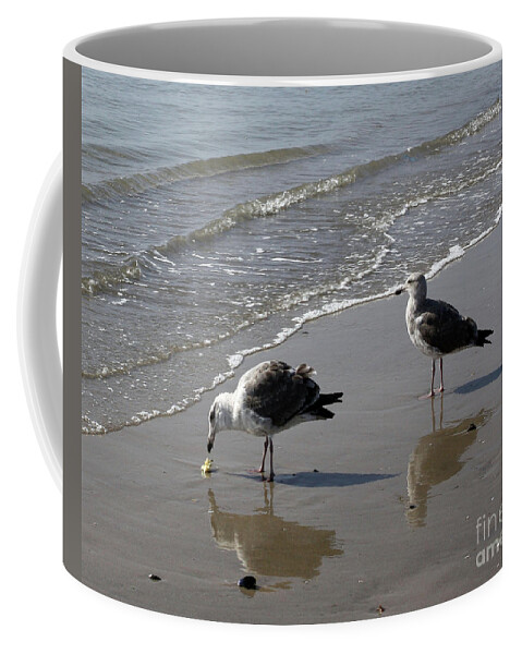 Beach Coffee Mug featuring the photograph Afternoon Snack by Kelly Holm
