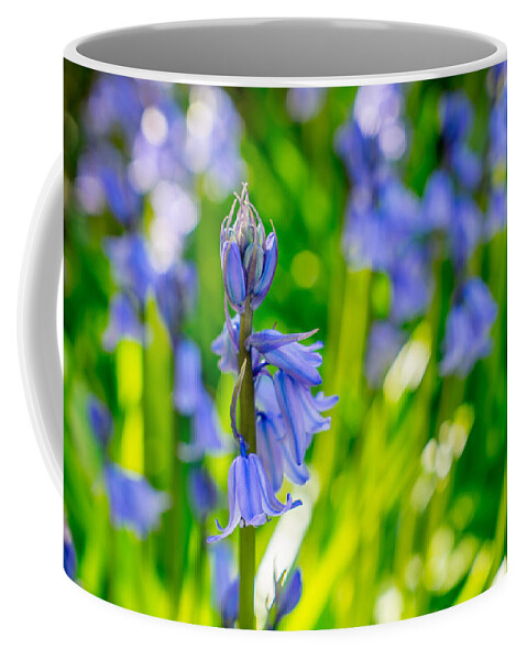 Bluebell Coffee Mug featuring the photograph Afternoon Tea by Derek Dean
