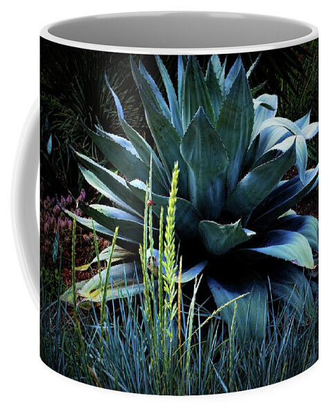  Maguey Plant Coffee Mug featuring the photograph Agave Americana by Diana Mary Sharpton