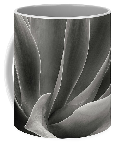 Agave Attenuata Coffee Mug featuring the photograph Agave Attenuata in black and white by Ram Vasudev