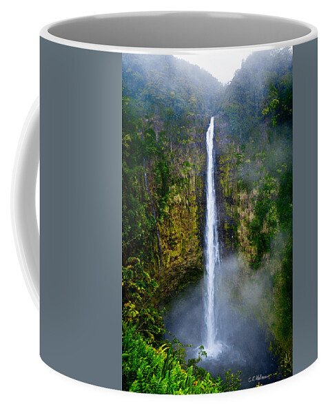 Nature Coffee Mug featuring the photograph Akaka Falls by Christopher Holmes