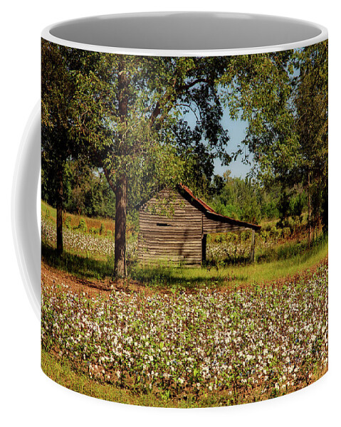 Alabama Coffee Mug featuring the photograph Alabama Cotton Field by Mountain Dreams
