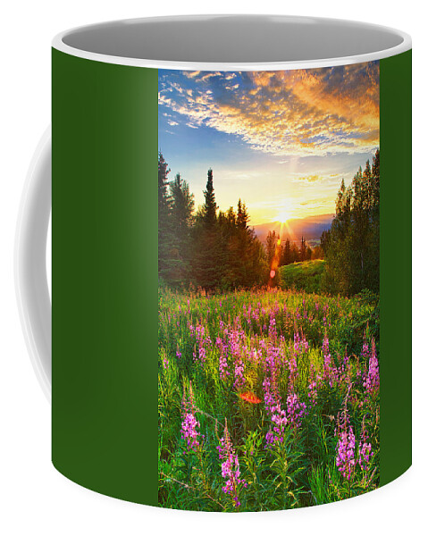 Alaska Coffee Mug featuring the photograph Alaska Field by Ed Boudreau