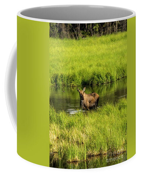 Moose Coffee Mug featuring the photograph Alaskan Moose by Louise Magno