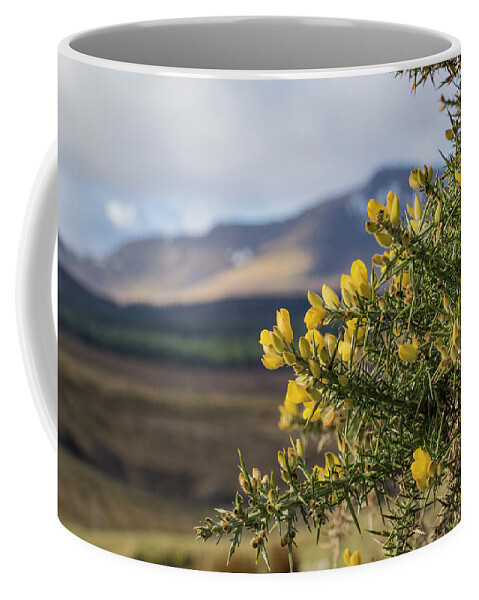 Gorse Coffee Mug featuring the photograph Alba by Holly Ross