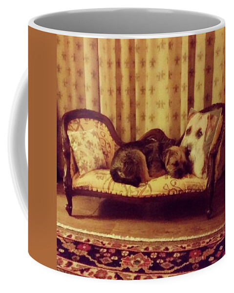 Dog Coffee Mug featuring the photograph Relax In Style by Rowena Tutty
