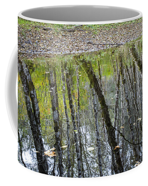 Water Coffee Mug featuring the photograph Alder Reflection by Robert Potts