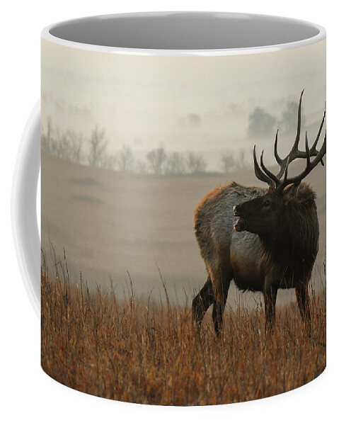 Kansas Coffee Mug featuring the photograph Alert Herd Bull 0583 by David Drew