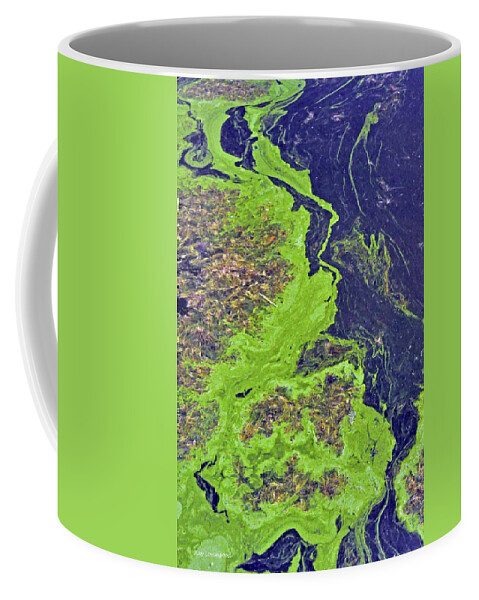 Nature Coffee Mug featuring the photograph Algae on a Pond by Kay Lovingood