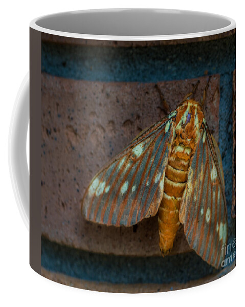 Moth Coffee Mug featuring the photograph Alien Moth by Metaphor Photo