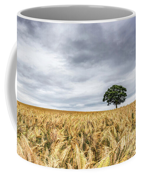 Oak Coffee Mug featuring the photograph All Alone by Nick Bywater