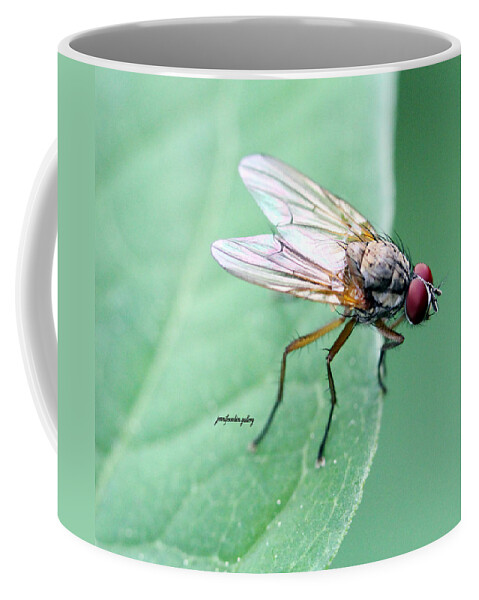 Insects Coffee Mug featuring the photograph All Eyes by Jennifer Robin