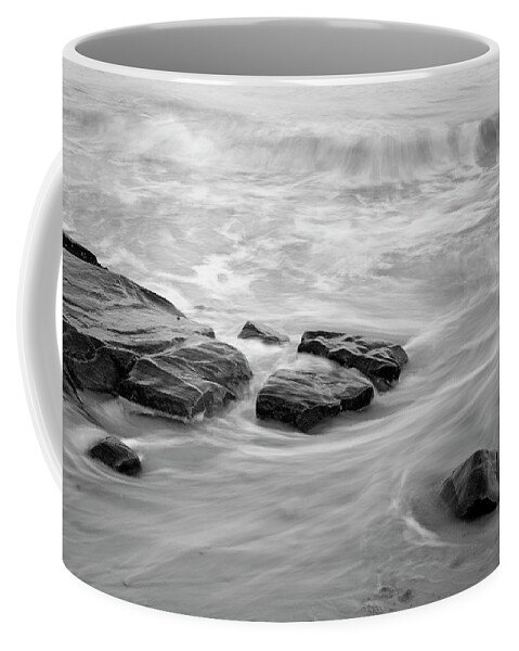 Allens Pond Coffee Mug featuring the photograph Allens Pond XIII BW by David Gordon
