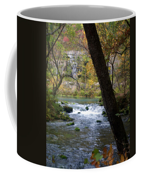 Ozarks Coffee Mug featuring the photograph Alley Spring Branch 2 by Marty Koch