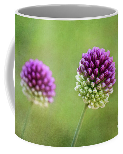 Allium Hollandicum Coffee Mug featuring the digital art Allium Buds by Sharon McConnell