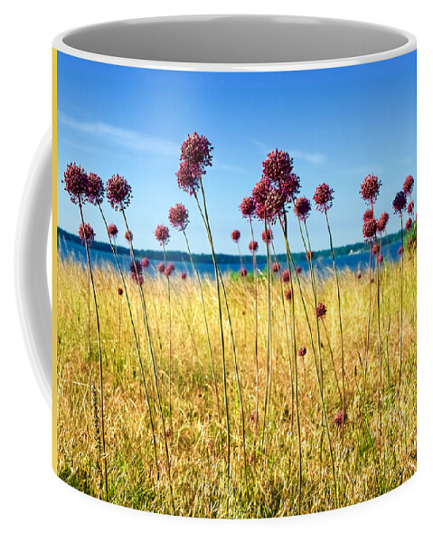 Allium Coffee Mug featuring the photograph Alliums and the York River by Rachel Morrison