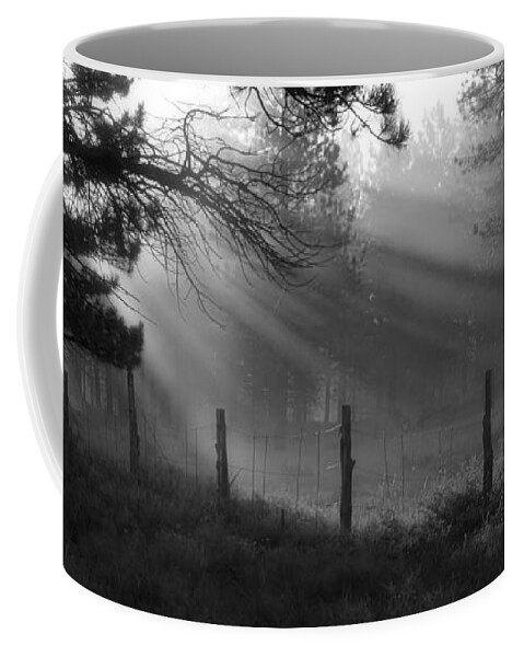 Almost To Fairyland Coffee Mug featuring the photograph Almost to Fairyland - God Rays by Nikolyn McDonald