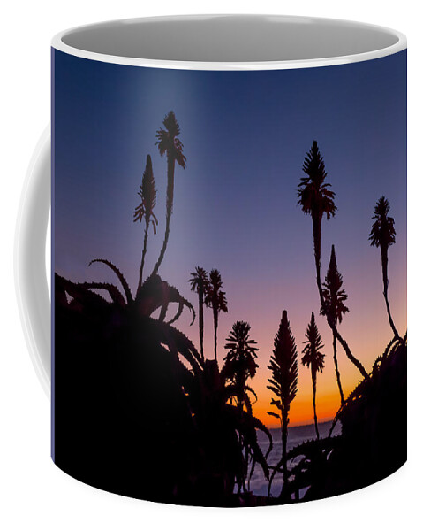 Aloe Coffee Mug featuring the photograph Aloe Sunset by Derek Dean