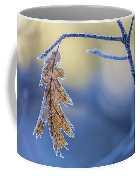 Landscape Coffee Mug featuring the photograph Alone In The Cold by Jonathan Nguyen