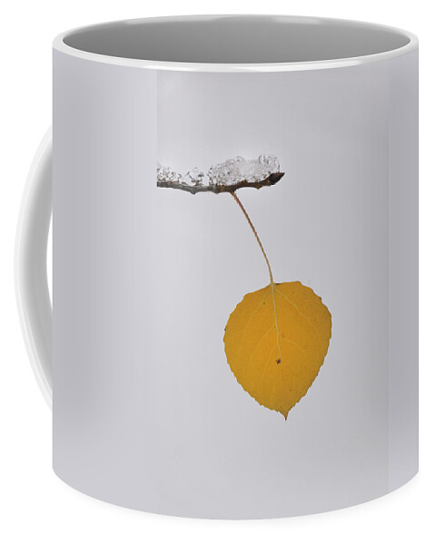 Nature Coffee Mug featuring the photograph Alone In The Snow by Ron Cline