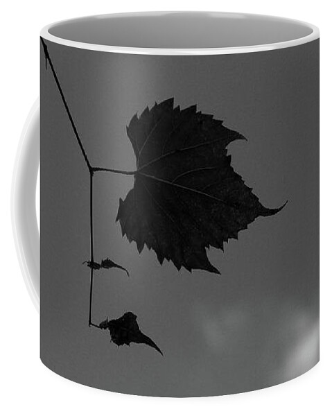 Forest Coffee Mug featuring the photograph Alone in the Woods Horizontal BW by Mary Bedy