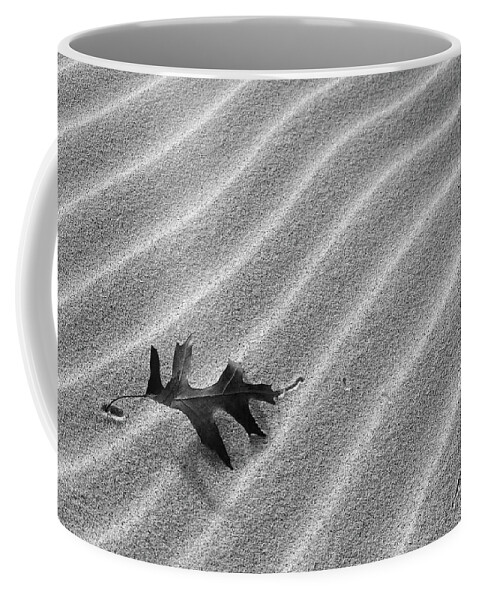 Leaf Coffee Mug featuring the photograph Alone by Kathi Mirto