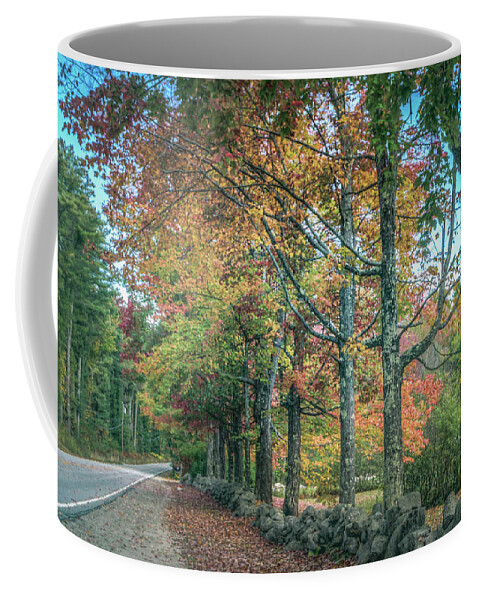 Maine Coffee Mug featuring the photograph Along the road by Jane Luxton