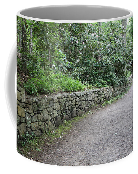 Path Coffee Mug featuring the photograph Along the Way by Allen Nice-Webb