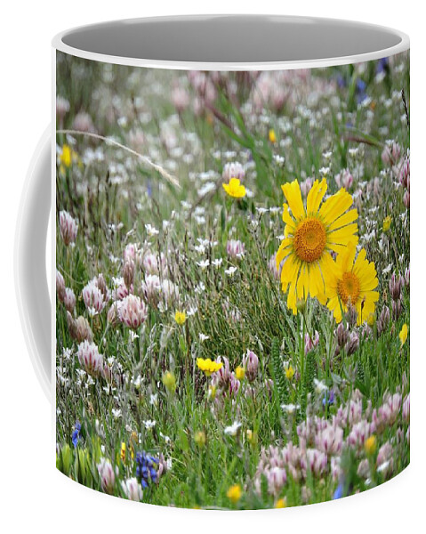Flowers Coffee Mug featuring the photograph Alpine Flowers by Connor Beekman
