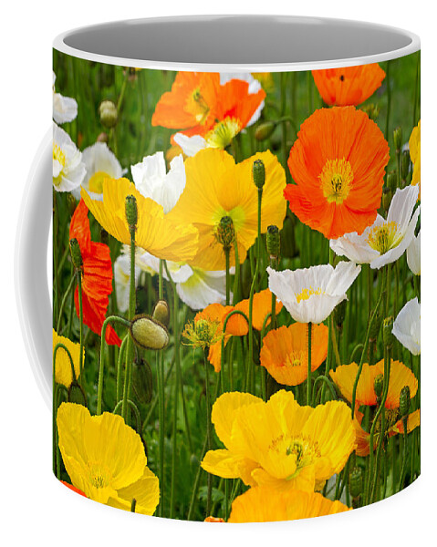 Poppies Coffee Mug featuring the photograph Alpine poppies by Louise Heusinkveld