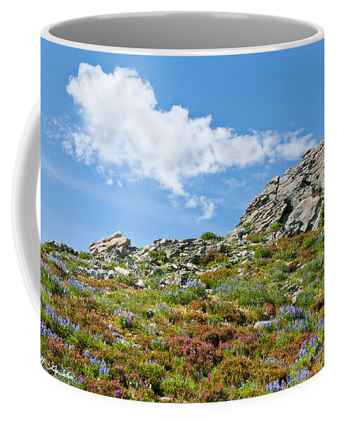 Alpine Coffee Mug featuring the photograph Alpine Rock Garden by Jeff Goulden