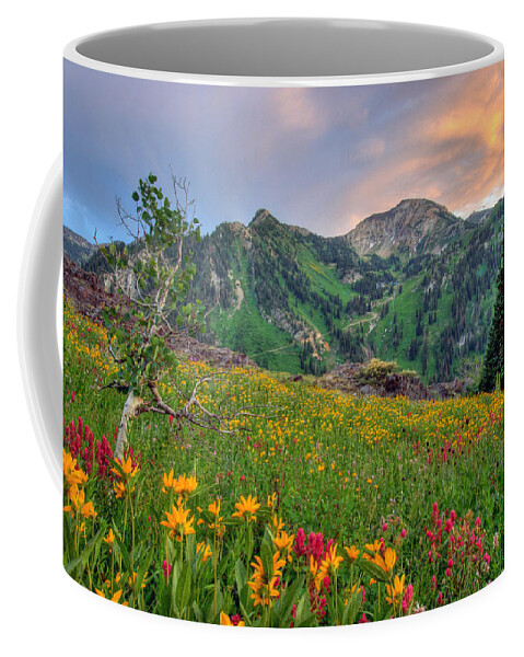 Wildflower Coffee Mug featuring the photograph Alta Wildflowers and Sunset by Brett Pelletier