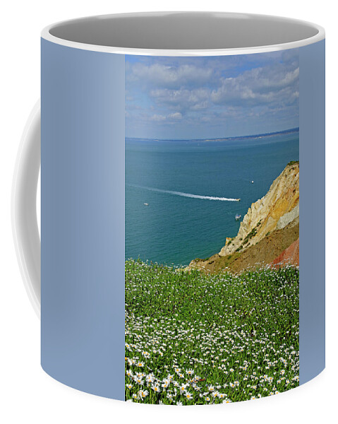 Europe Coffee Mug featuring the photograph Alum Bay from West High Down by Rod Johnson