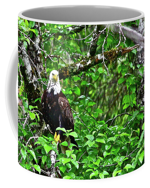 Eagles Coffee Mug featuring the photograph Always Thrilling by Diana Hatcher