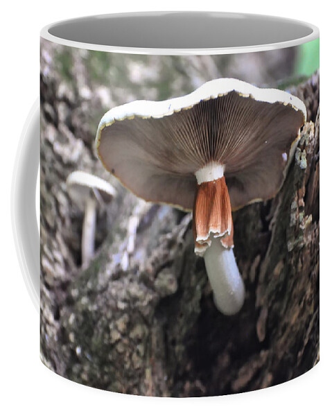 White Mushroom Coffee Mug featuring the photograph Amanita by Flees Photos
