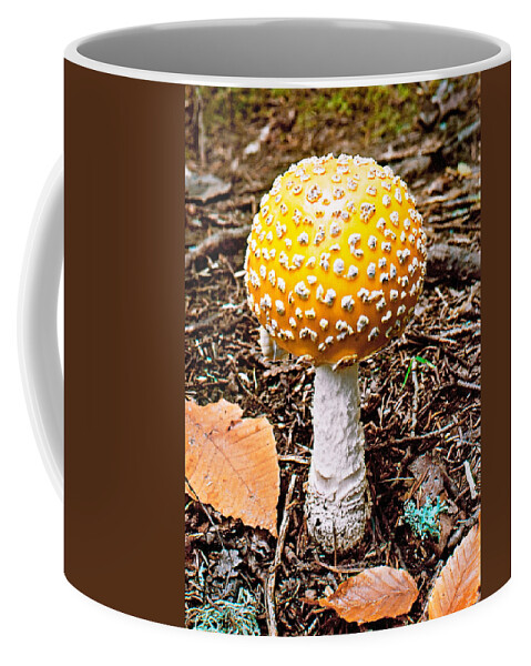 Mushroom Coffee Mug featuring the photograph Amanita Mushroom Photo by Peter J Sucy