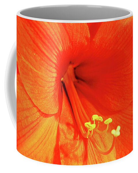 Amaryllis Coffee Mug featuring the photograph Amaryllis by Allen Nice-Webb