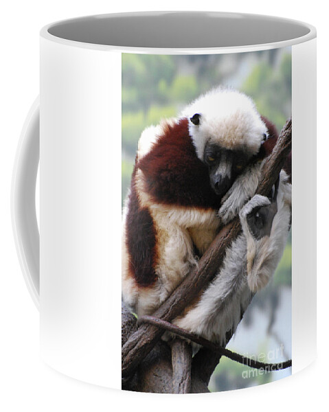 Awesome Lemurs Coffee Mug 11oz