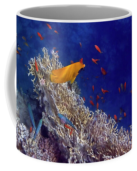 Sea Coffee Mug featuring the photograph Amazing Red Sea 2 by Johanna Hurmerinta