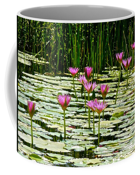 Lotus Coffee Mug featuring the photograph Amazing Waterlily Pond by Joe Wyman